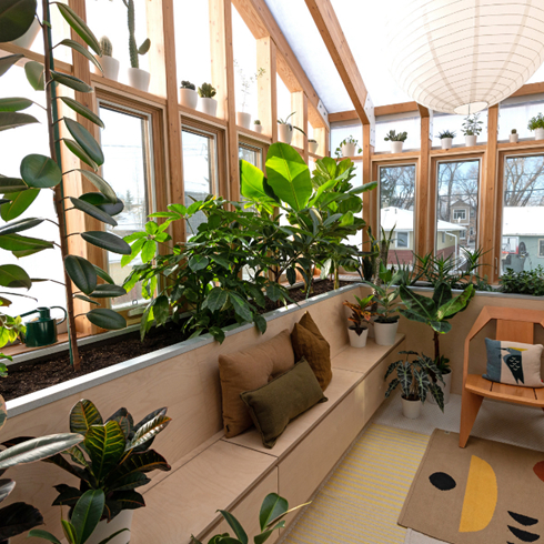 Jungle View A shot of the indoor greenhouse