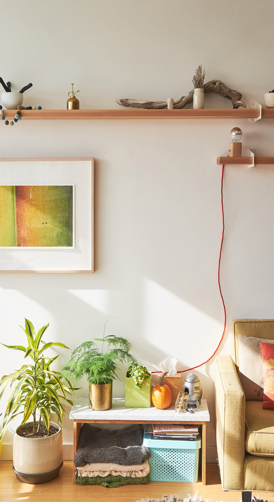 From the Floorboards sunny high placed shelves with light cord on wall