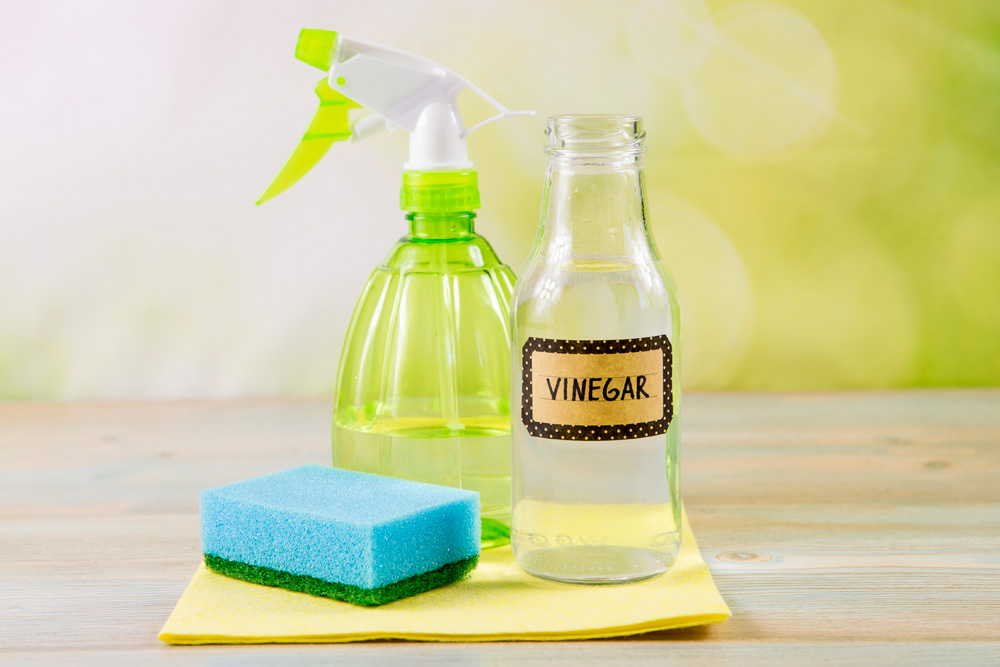 Add the Power of Vinegar Vinegar for cleaning