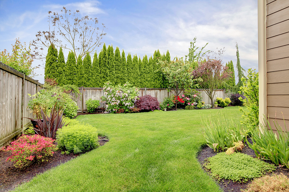 A Tall Privacy Fence A backyard fenced in by a classic wood board fence. Gardens line the fence.