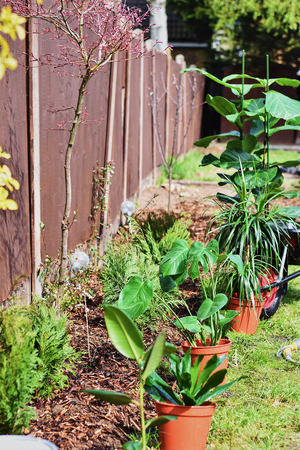 Strategically-Placed Leafy Plants A backyard fence with various tropical plants in front of it.