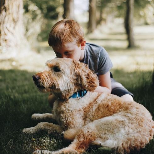 Create Shady Spots Young boy hugging dog under shade