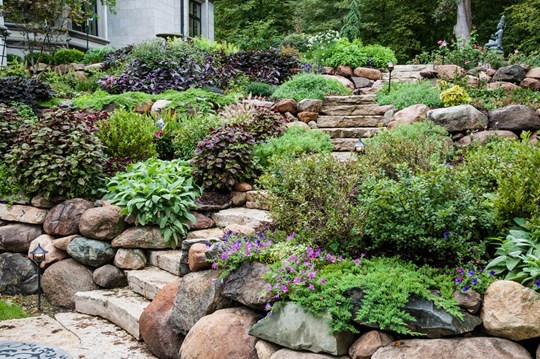 Rock Out Rocky landscaping in backyard