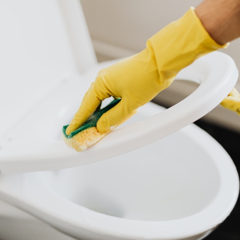 Toilets Someone wearing yellow rubber gloves scrubbing a white toilet