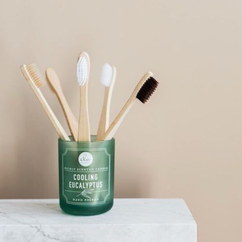 Reuse and Recycle wooden toothbrushes in small green container