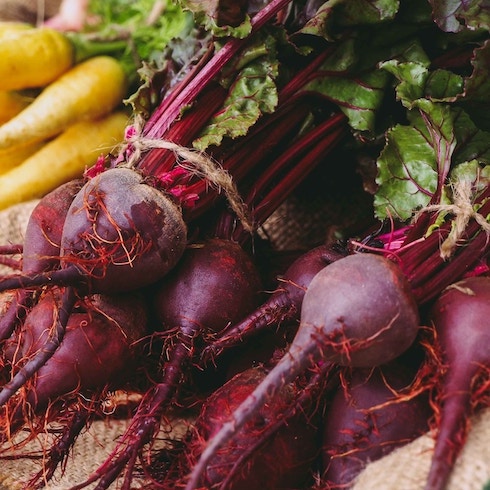 Beets Bundles of fresh red beets