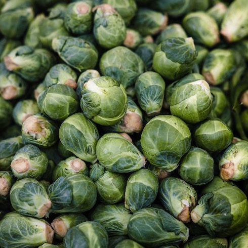Brussels Sprouts A pile of green Brussels sprouts