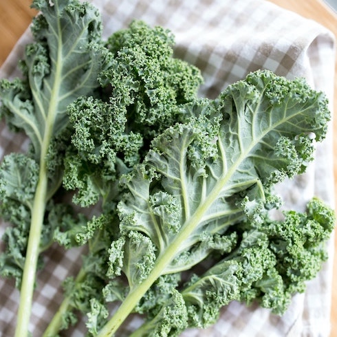 Kale Several green kale leaves on top of a check-print cloth