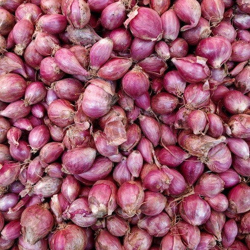 Shallots A pile of purple shallots