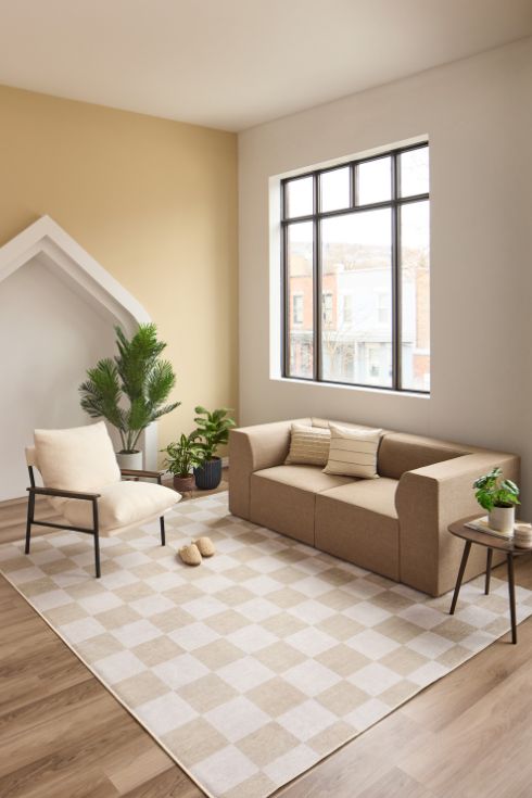 Check It Out Checkered area rug in muted living room