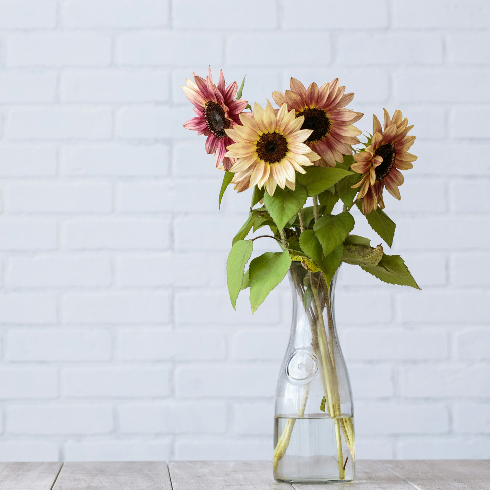 Try a Bleach and Sugar Mix A vase with fresh sunflowers