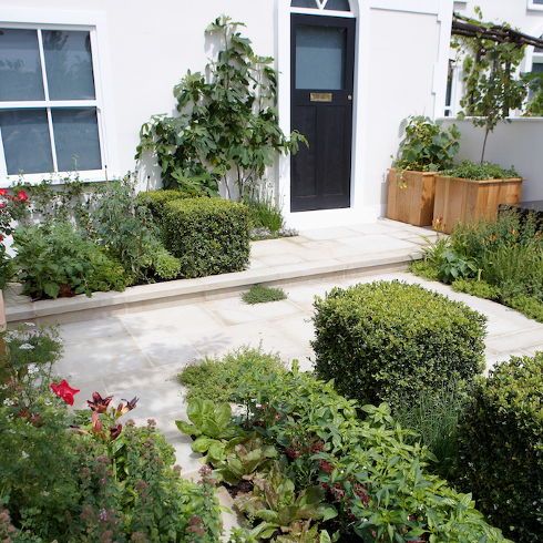 Start a Front Garden Vegetable Patch A neat vegetable patch growing on a hardscaped front yard