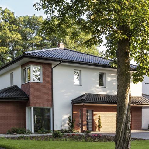 Plant a Tree or Two Front yard with a large tree