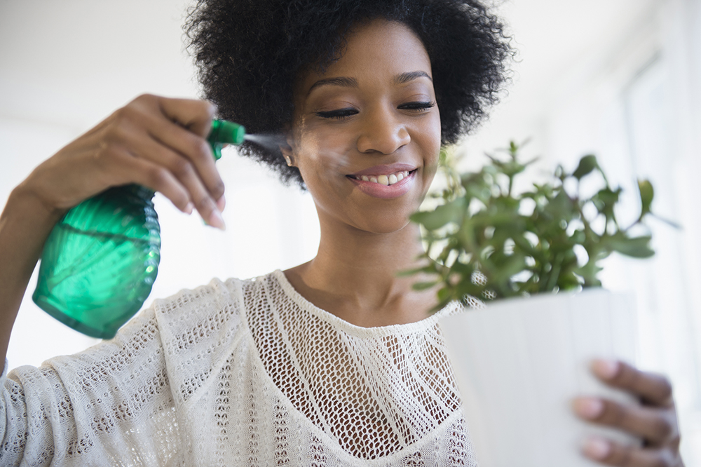 Bring Your Herbs Back to Life: Mist Humidity-Loving Herbs Every Few Days A person misting a potted herb with a spray bottle of water