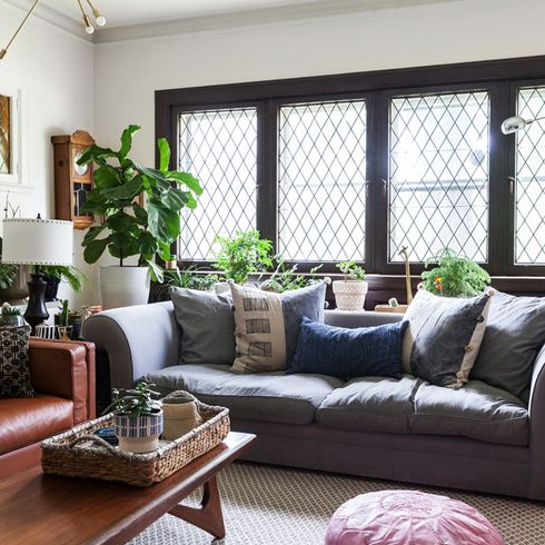 House Plants A stylish living room with plenty of green plants