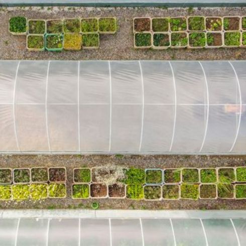 Use Polytunnels Polytunnels
