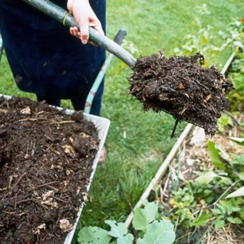 Apply Mulch Person applying mulch to their garden