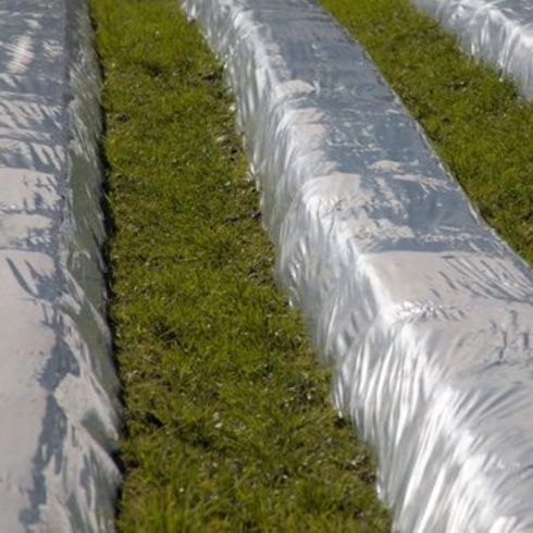 Use Row Covers Row covers in field