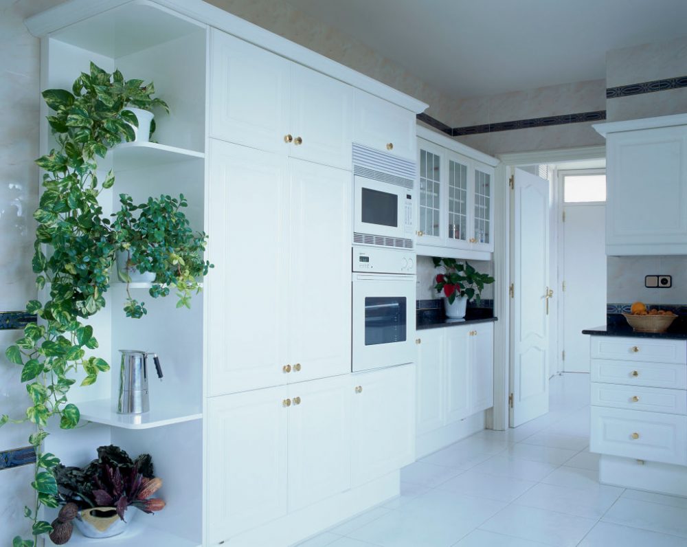 English Ivy View of cascading ivy in an elegant kitchen