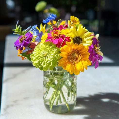 Keep Out of Direct Sunlight A bright bouquet of wildflowers in a clear vase