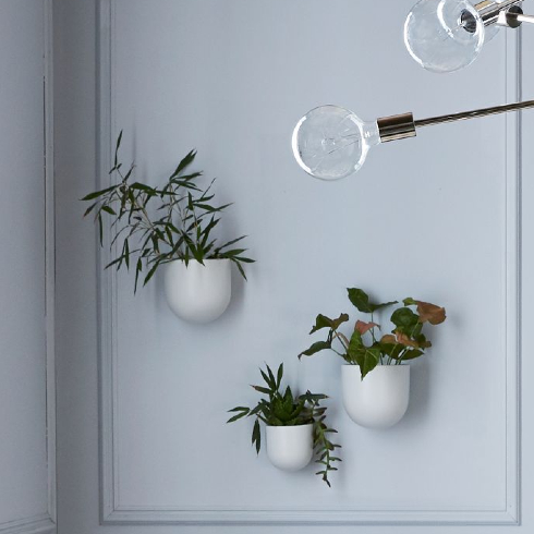 Green Means Go A grey living room wall with panelling and three wall-mounted planters
