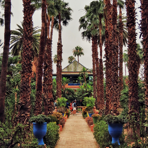 Marrakech, Morocco A palm tree-lined walkway in the Majorelle Gardens in Marrakech, Morocco.