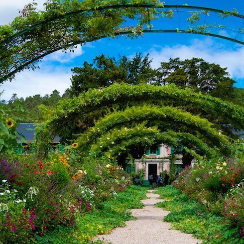 Local Benefits Native Canadian Plants - Colourful garden with lots of green plants