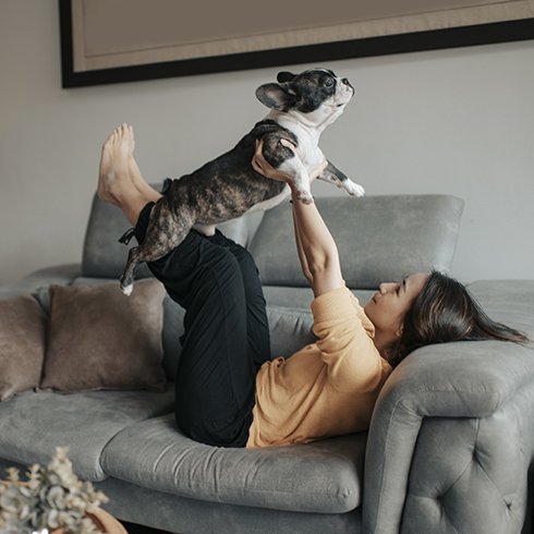 Pet Products a woman pet owner bonding time with her pet french bulldog on sofa
