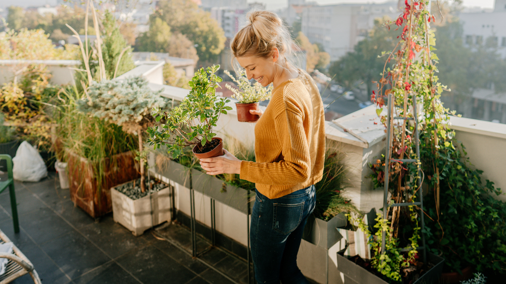 What Can I Grow in Containers? woman with container plants on rooftop garden