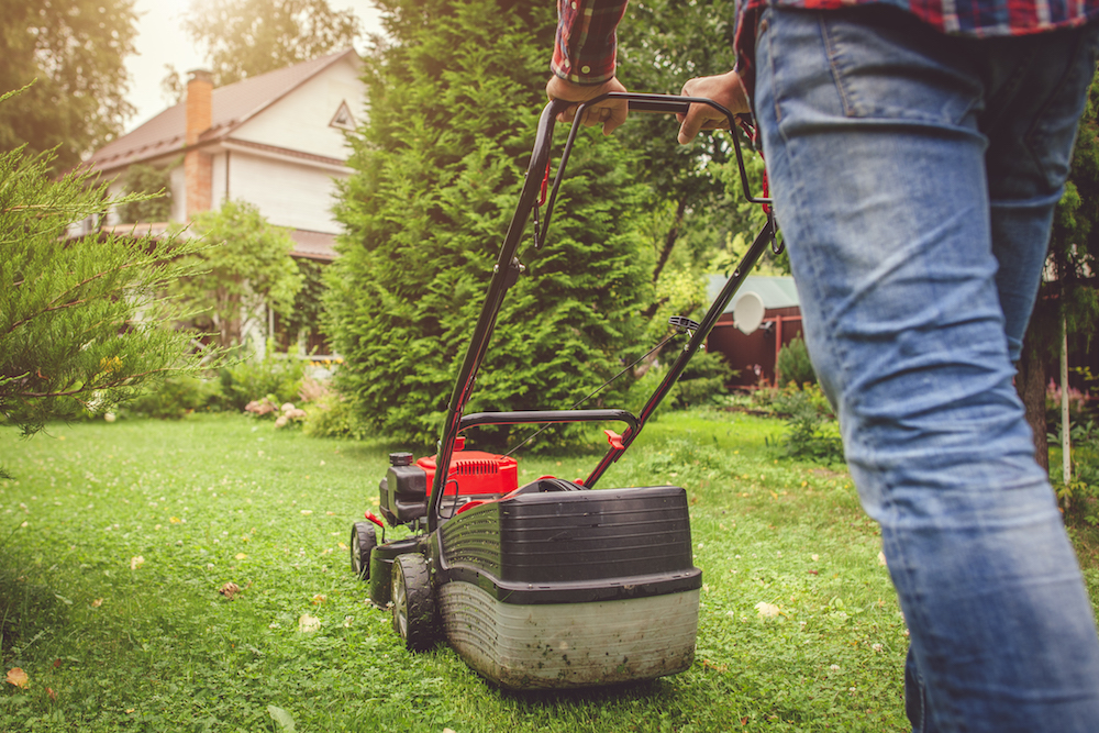 How Can I Keep My Grass Green? man in plaid shirt mowing green grass