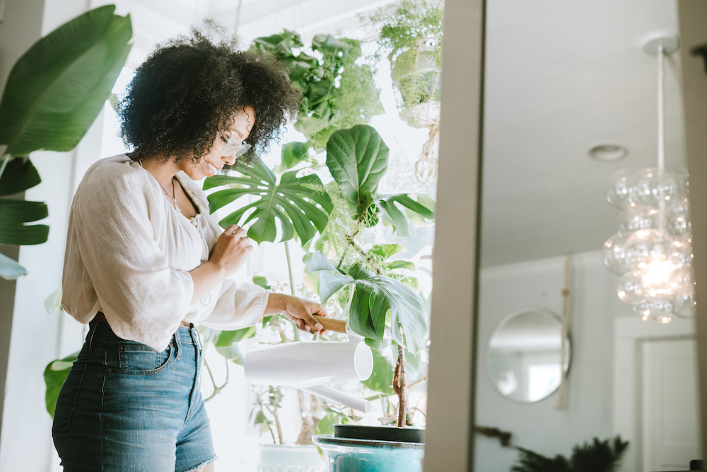 Should You Bring Houseplants Outside for the Summer? woman watering houseplants in white room