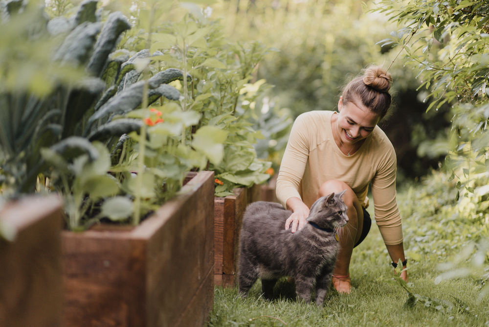 Can Outdoor Plants Be Poisonous for Pets? woman with grey cat in green garden