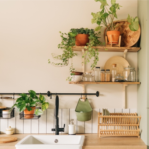 Add Plants Potted plants on wooden shelves above a sink.