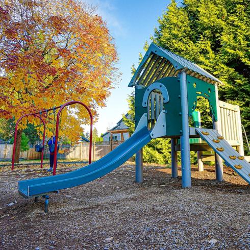 Outdoor Extras A kid's jungle gym in a backyard