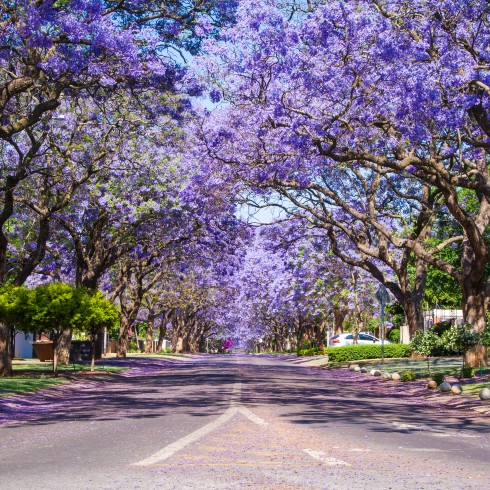 Pretoria, South Africa Pretoria, South Africa
