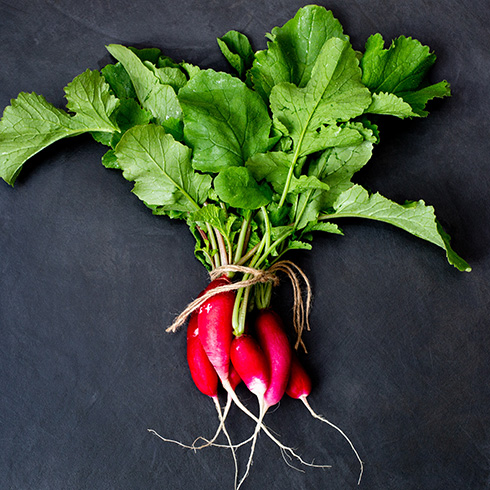 Quebec Overhead view of a bunch of radishes lying on a black background