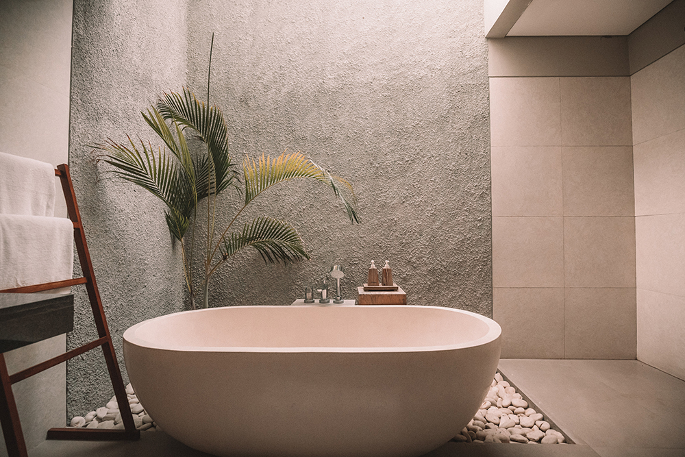 Palm Plants Love a Sunny, Humid Bathroom Sunny bathroom with a minimalist tub, towel ladder, and tropical palm.