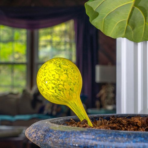 Self-Watering Bulbs Besti Self Watering Planter