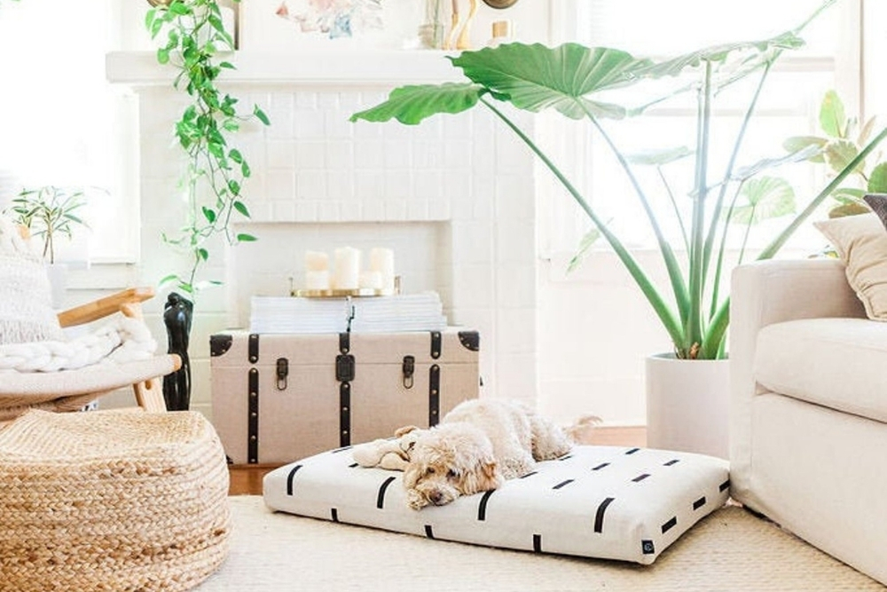 Eclectic A dog bed made from white fabric and black stripes