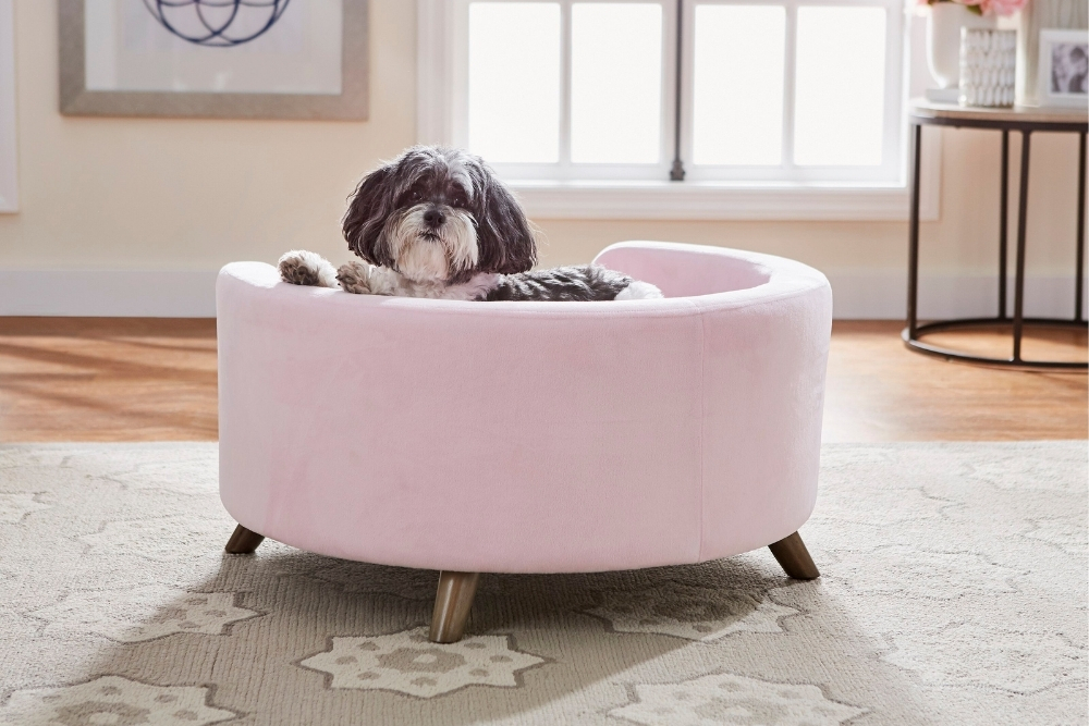 Modern Glamorous A small gray dog sitting on a dog bed with a pink barrel-style silhouette and flared tapered legs