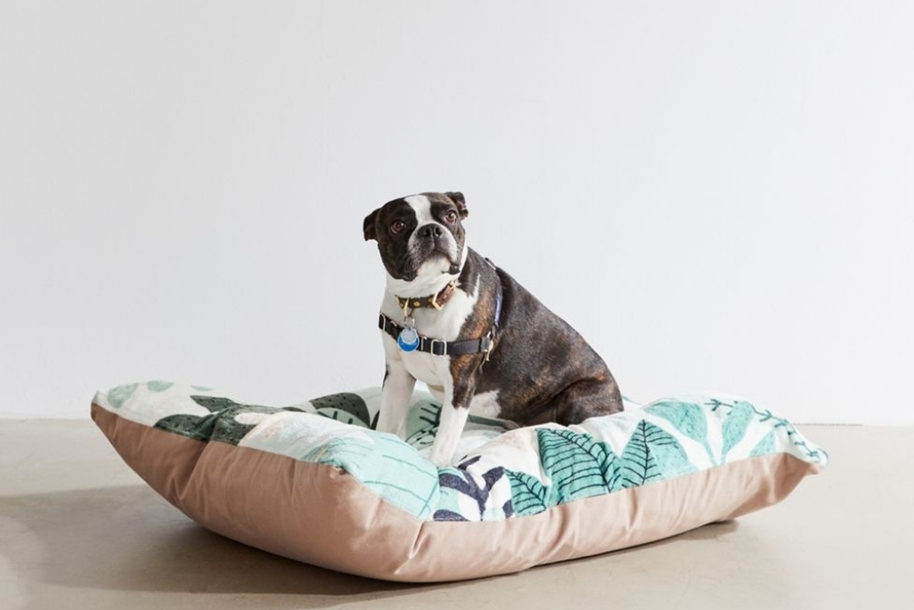 Tropical A large brown and white dog is sitting on a tan and white dog bed with green tropical leaves.