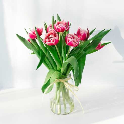 Change Water Every Two Days Pink tulips with fresh water in a clear vase