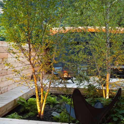 Everything is Illuminated Cedar deck with trees