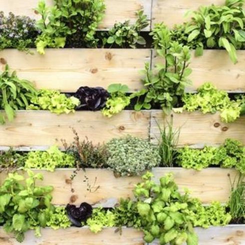 Mistake #3: Not Considering Vertical Space vertical garden in backyard