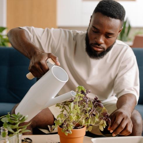 Use a Water-Soluble Fertilizer Man watering a plant indoors