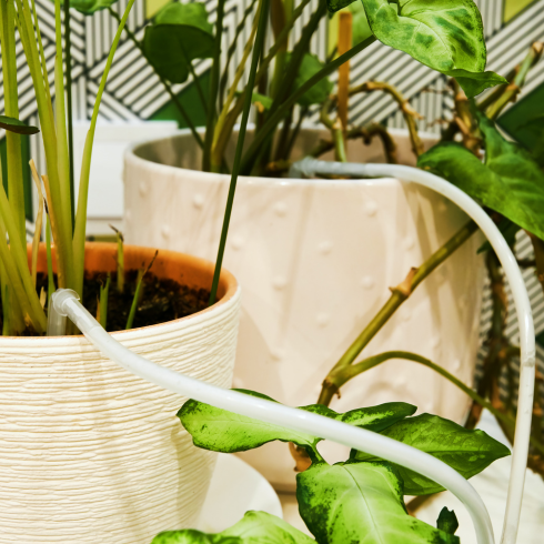 Automatic Irrigation Drip System an automatic irrigation system for indoor plants