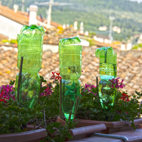 Fill a Bottle With Water upside down plastic bottles, filled with water, used as DIY irrigation system for plants